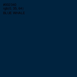 #002340 - Blue Whale Color Image