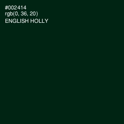 #002414 - English Holly Color Image