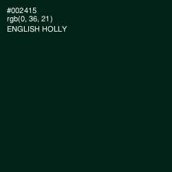 #002415 - English Holly Color Image