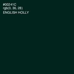 #00241C - English Holly Color Image