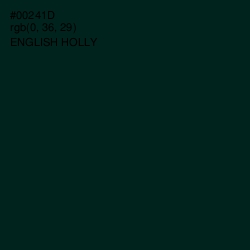 #00241D - English Holly Color Image