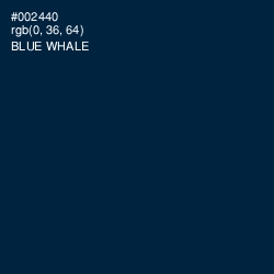 #002440 - Blue Whale Color Image