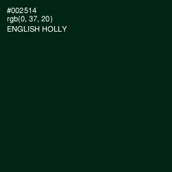 #002514 - English Holly Color Image
