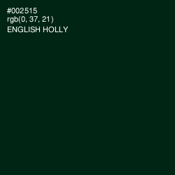 #002515 - English Holly Color Image