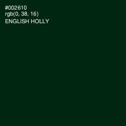 #002610 - English Holly Color Image