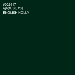 #002617 - English Holly Color Image