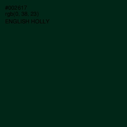 #002617 - English Holly Color Image