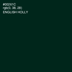 #00261C - English Holly Color Image