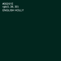 #00261E - English Holly Color Image