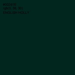 #00261E - English Holly Color Image