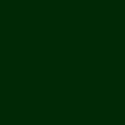 #002805 - Deep Fir Color Image