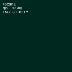 #00281E - English Holly Color Image