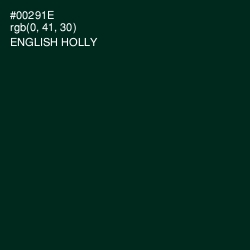 #00291E - English Holly Color Image