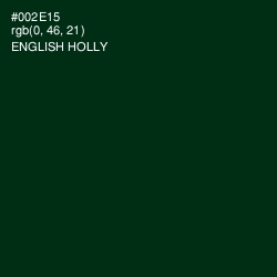 #002E15 - English Holly Color Image
