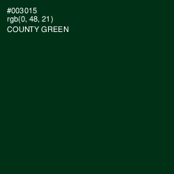 #003015 - County Green Color Image