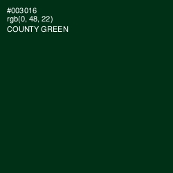 #003016 - County Green Color Image