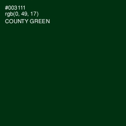 #003111 - County Green Color Image