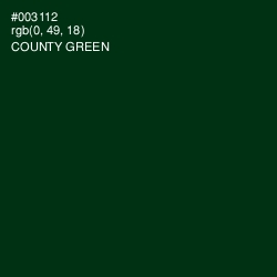 #003112 - County Green Color Image