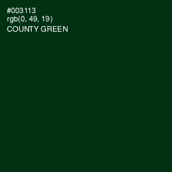 #003113 - County Green Color Image