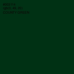 #003114 - County Green Color Image