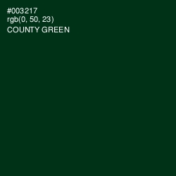 #003217 - County Green Color Image
