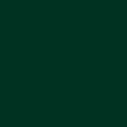 #003221 - Bottle Green Color Image