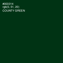 #003314 - County Green Color Image