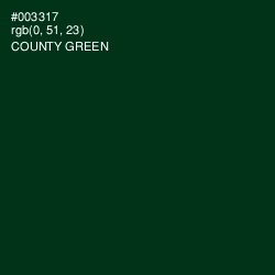 #003317 - County Green Color Image