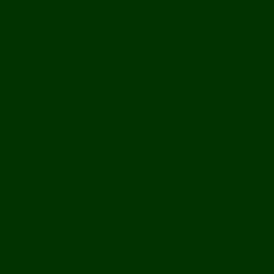 #003401 - Deep Fir Color Image