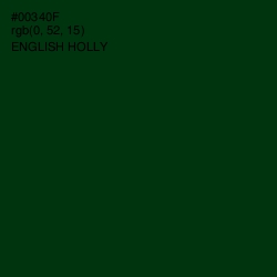 #00340F - English Holly Color Image