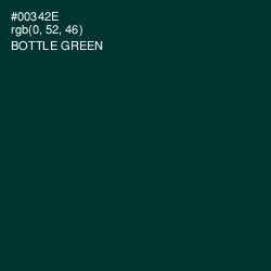 #00342E - Bottle Green Color Image