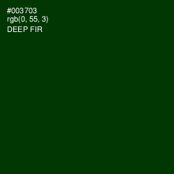 #003703 - Deep Fir Color Image