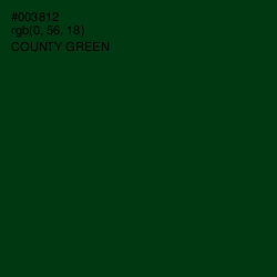 #003812 - County Green Color Image