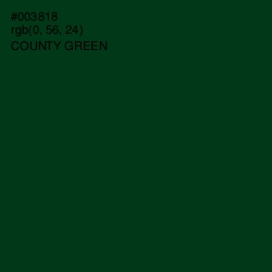 #003818 - County Green Color Image