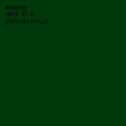 #003909 - English Holly Color Image