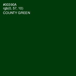 #00390A - County Green Color Image