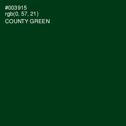 #003915 - County Green Color Image