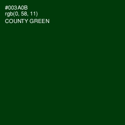 #003A0B - County Green Color Image