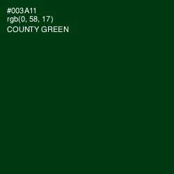 #003A11 - County Green Color Image