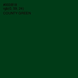 #003B18 - County Green Color Image