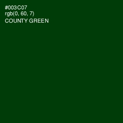 #003C07 - County Green Color Image