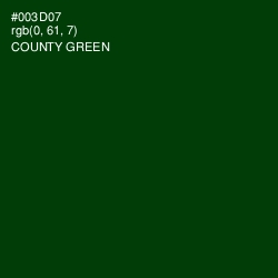 #003D07 - County Green Color Image