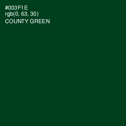 #003F1E - County Green Color Image