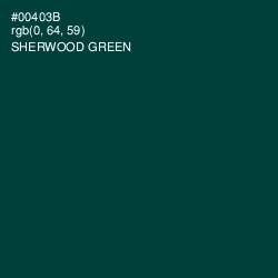 #00403B - Sherwood Green Color Image