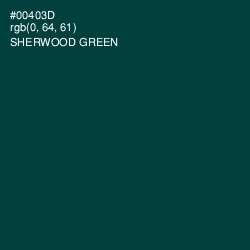 #00403D - Sherwood Green Color Image