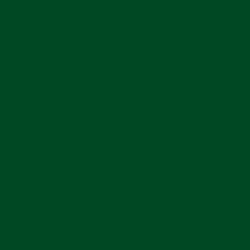 #004723 - Kaitoke Green Color Image