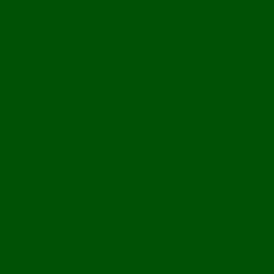 #005005 - Dark Fern Color Image