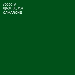 #00501A - Camarone Color Image