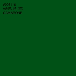 #005116 - Camarone Color Image