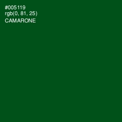 #005119 - Camarone Color Image